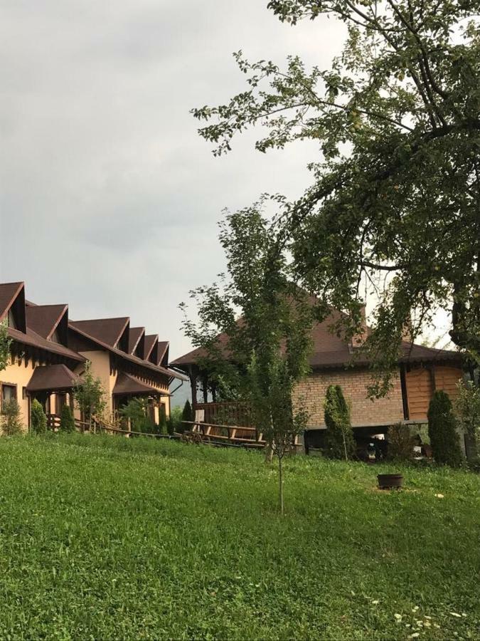 Pensiunea Valea Cu Salcami Alsóvisó Kültér fotó