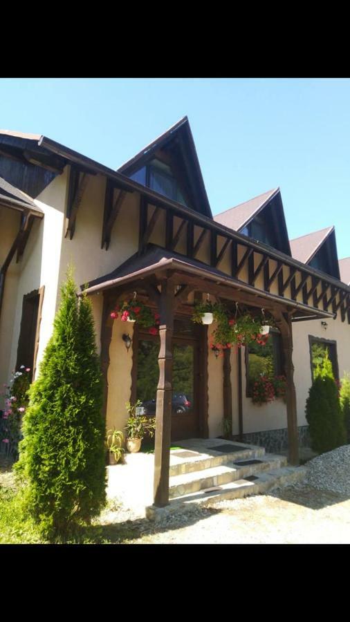 Pensiunea Valea Cu Salcami Alsóvisó Kültér fotó