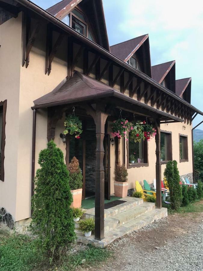Pensiunea Valea Cu Salcami Alsóvisó Kültér fotó