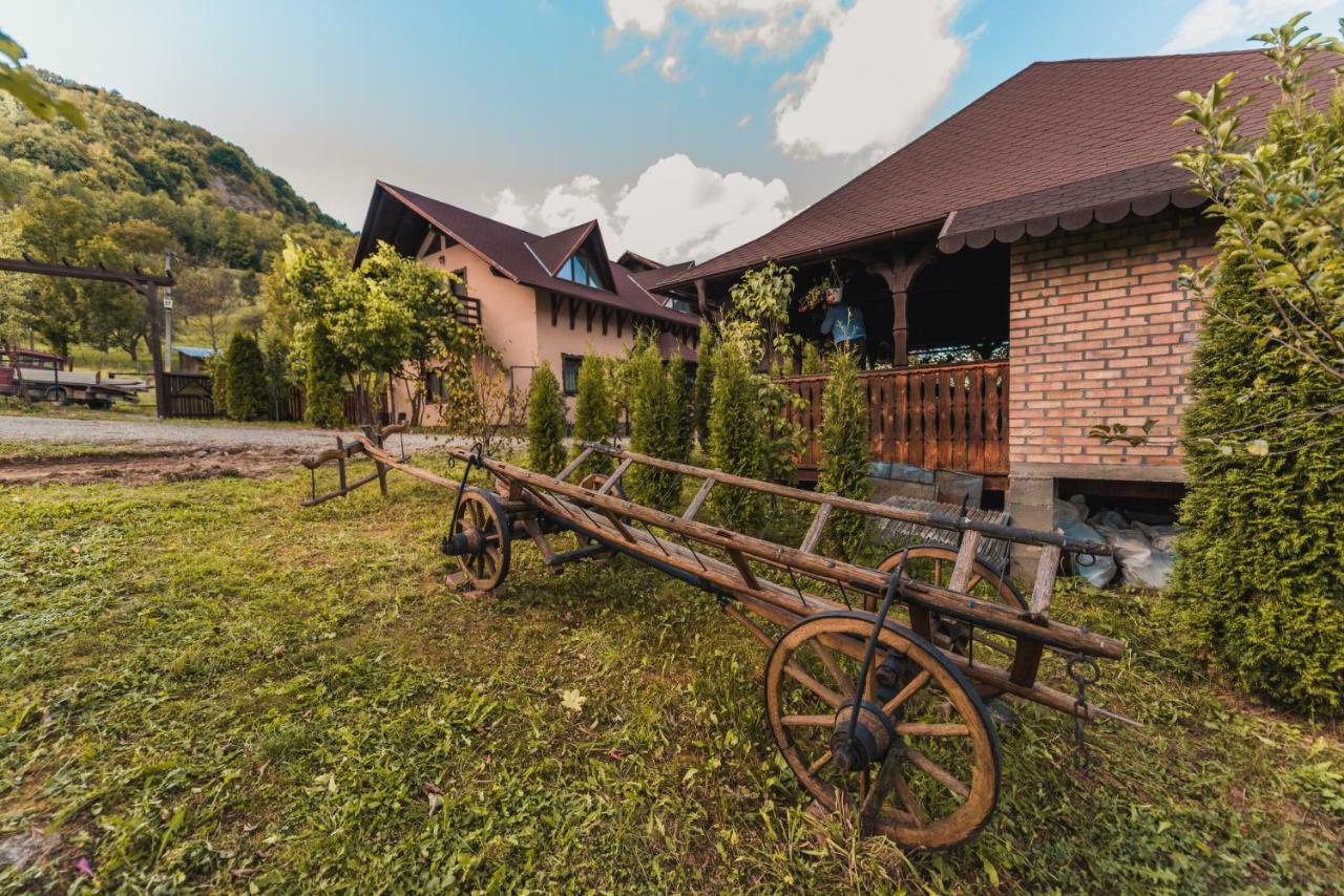 Pensiunea Valea Cu Salcami Alsóvisó Kültér fotó