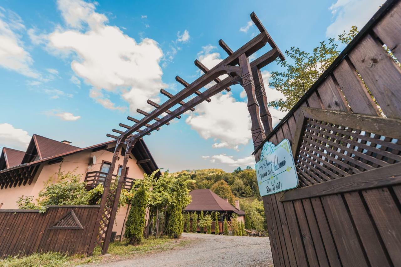 Pensiunea Valea Cu Salcami Alsóvisó Kültér fotó