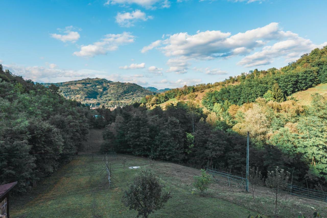 Pensiunea Valea Cu Salcami Alsóvisó Kültér fotó