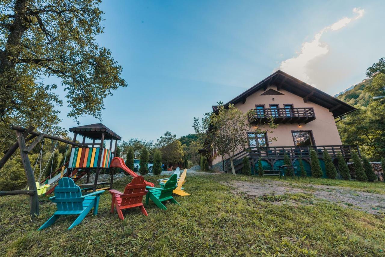 Pensiunea Valea Cu Salcami Alsóvisó Kültér fotó